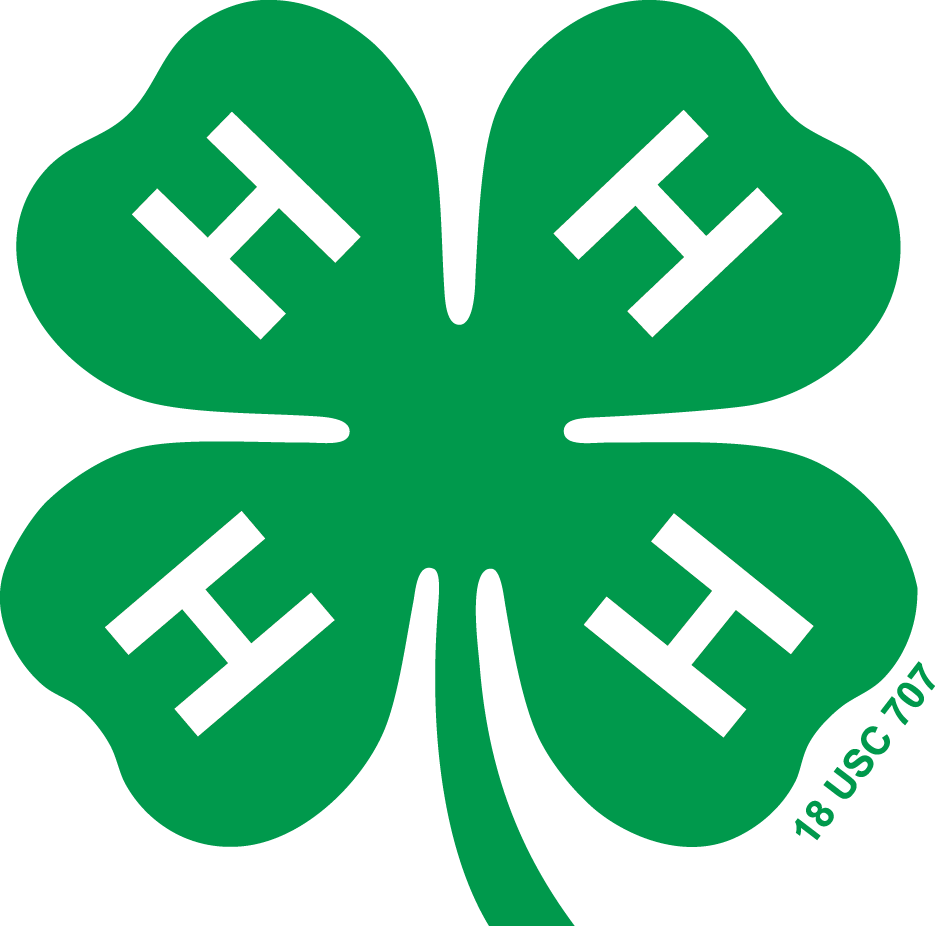 4-H Clover