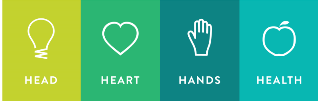 Head Heart Hands Health